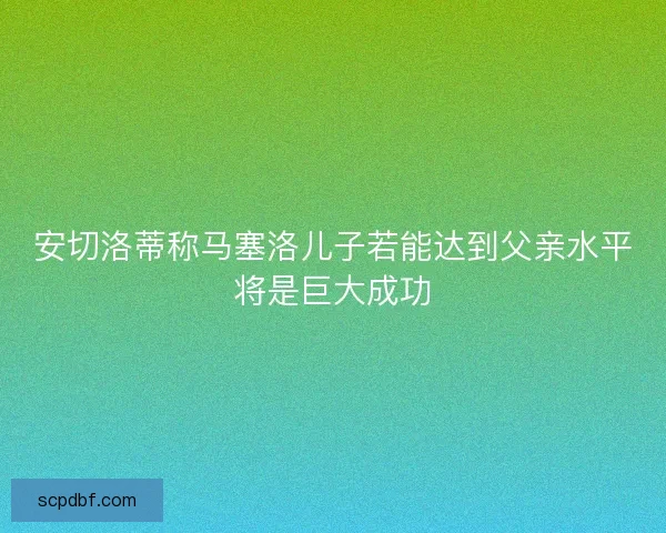 安切洛蒂称马塞洛儿子若能达到父亲水平将是巨大成功 安切洛蒂称马塞洛儿子若能达到父亲水平将是巨大成功