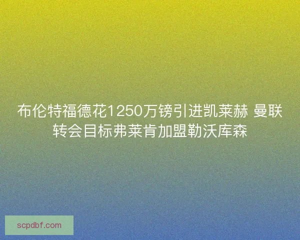 布伦特福德花1250万镑引进凯莱赫 曼联转会目标弗莱肯加盟勒沃库森